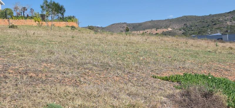 0 Bedroom Property for Sale in Outeniquasbosch Western Cape